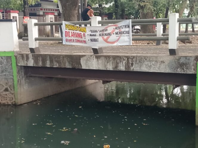 
					Alih-alih Solusi, Penebaran Ikan Nila di Sungai Mejobo Justru Picu Kemarahan Publik